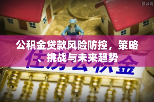 晋源公积金贷款风险防控，策略、挑战与未来趋势